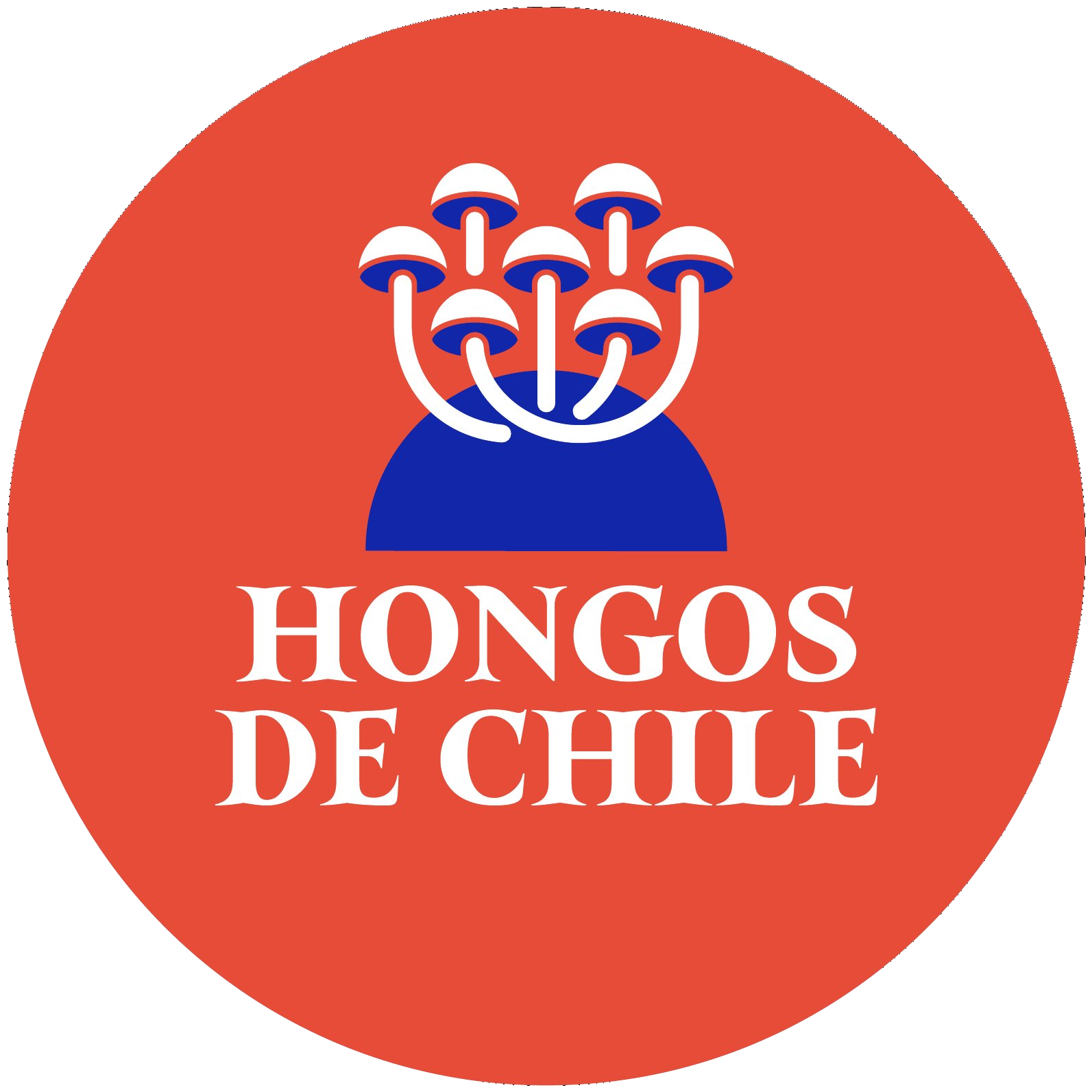 Hongos de Chile